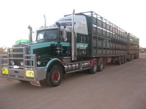 livestock truck