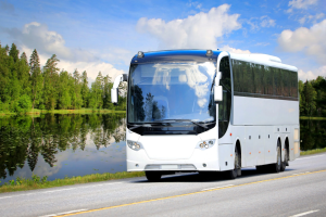 bus on the road